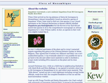 Tablet Screenshot of mozambiqueflora.com